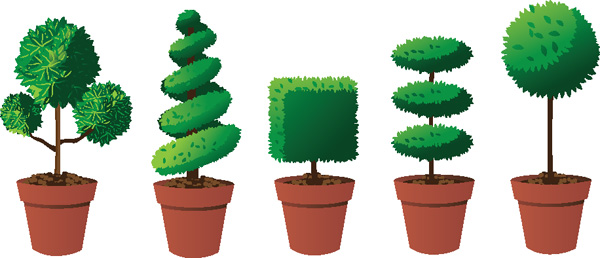 Different topiary shapes.